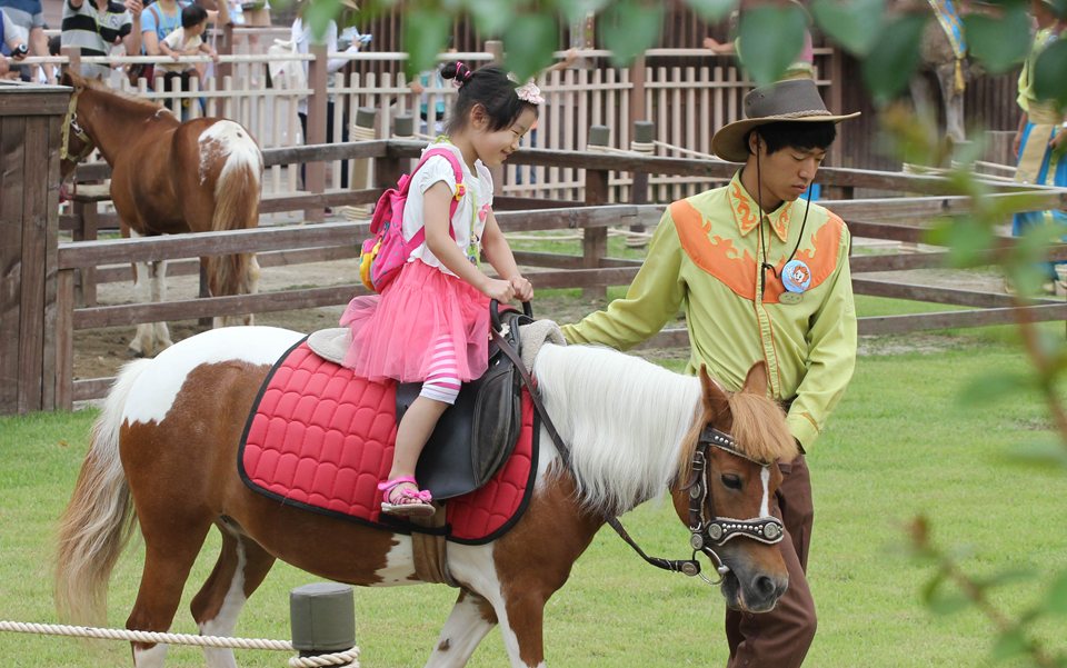 Trẻ em cưỡi ngựa trong công viên khổng lồ Eveland của Hàn Quốc